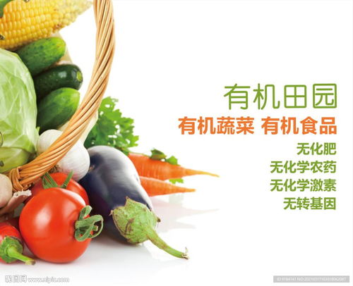 有機(jī)蔬菜與珠寶首飾 綠色健康與璀璨優(yōu)雅的視覺盛宴